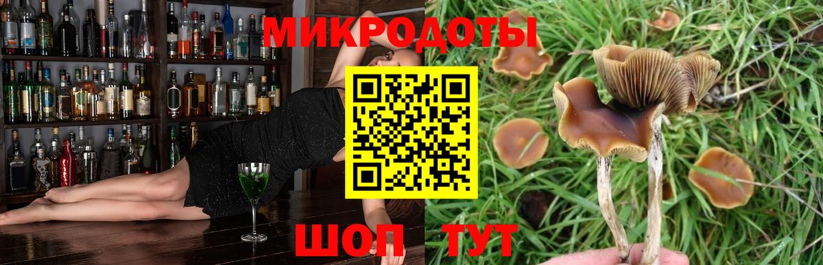 БУТИРАТ Волгодонск